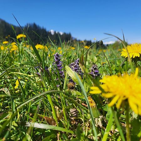 Sachserhof Ferienwohnungen In Sachsenburg Экстерьер фото