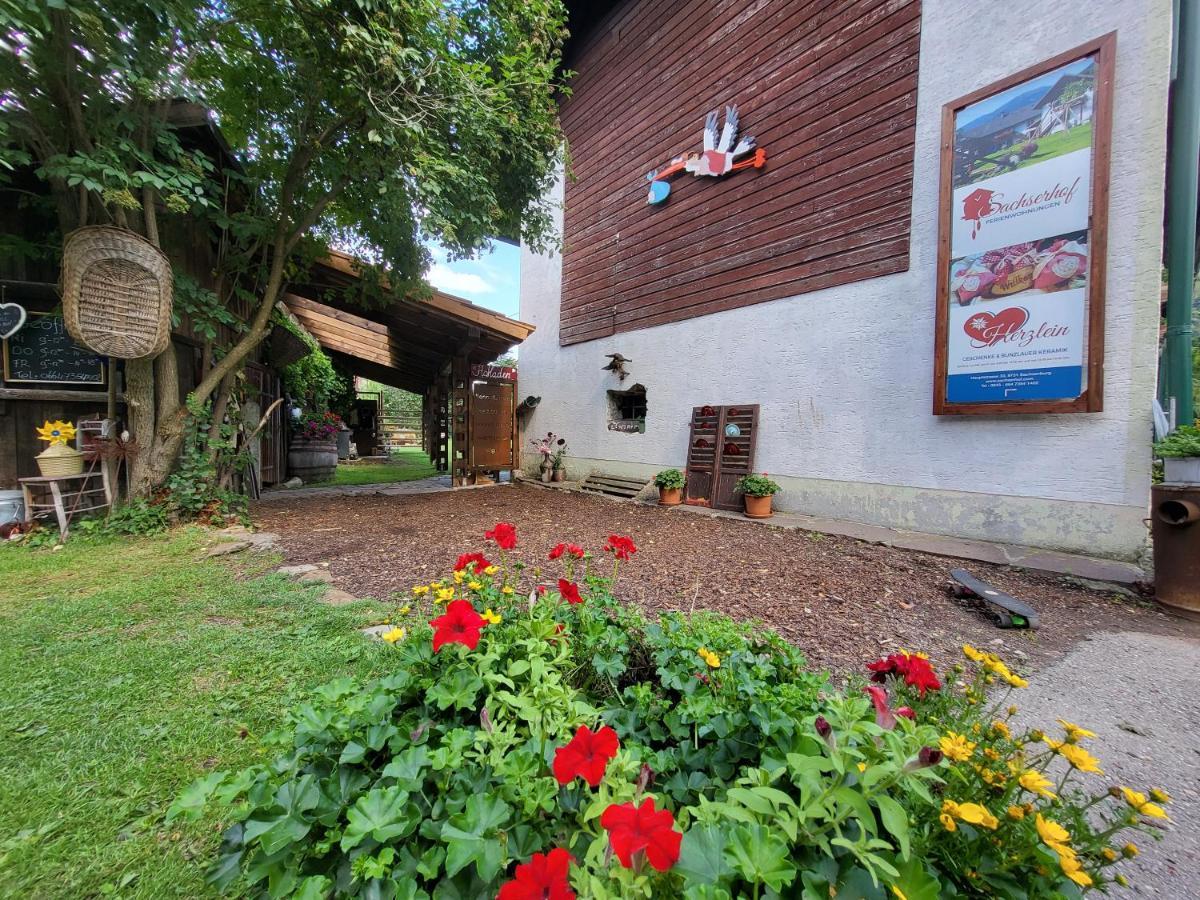 Sachserhof Ferienwohnungen In Sachsenburg Экстерьер фото