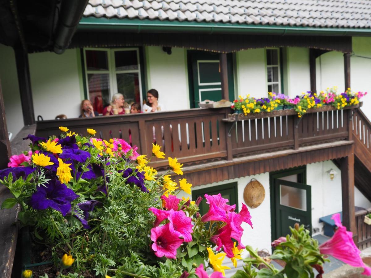 Sachserhof Ferienwohnungen In Sachsenburg Экстерьер фото