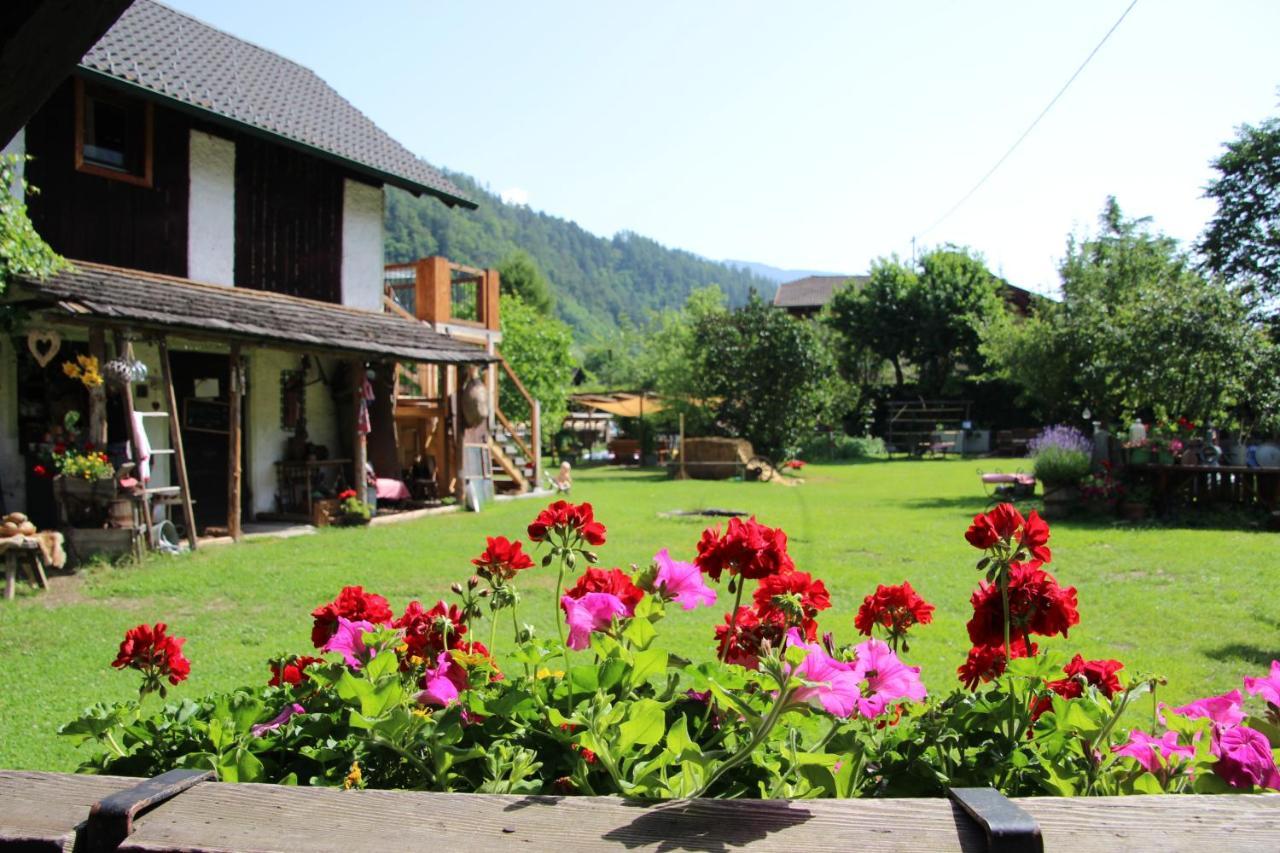 Sachserhof Ferienwohnungen In Sachsenburg Экстерьер фото